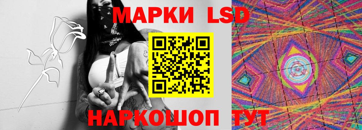 Галлюциногенные грибы Грязи