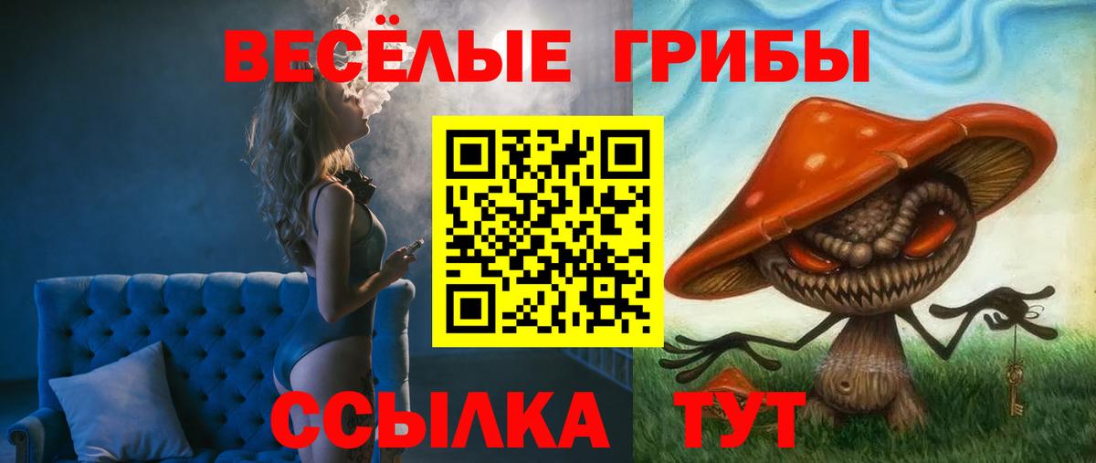 Псилоцибиновые грибы ЛСД  Псилоцибиновые грибы мухоморы  Грязи  Вход с VPN 